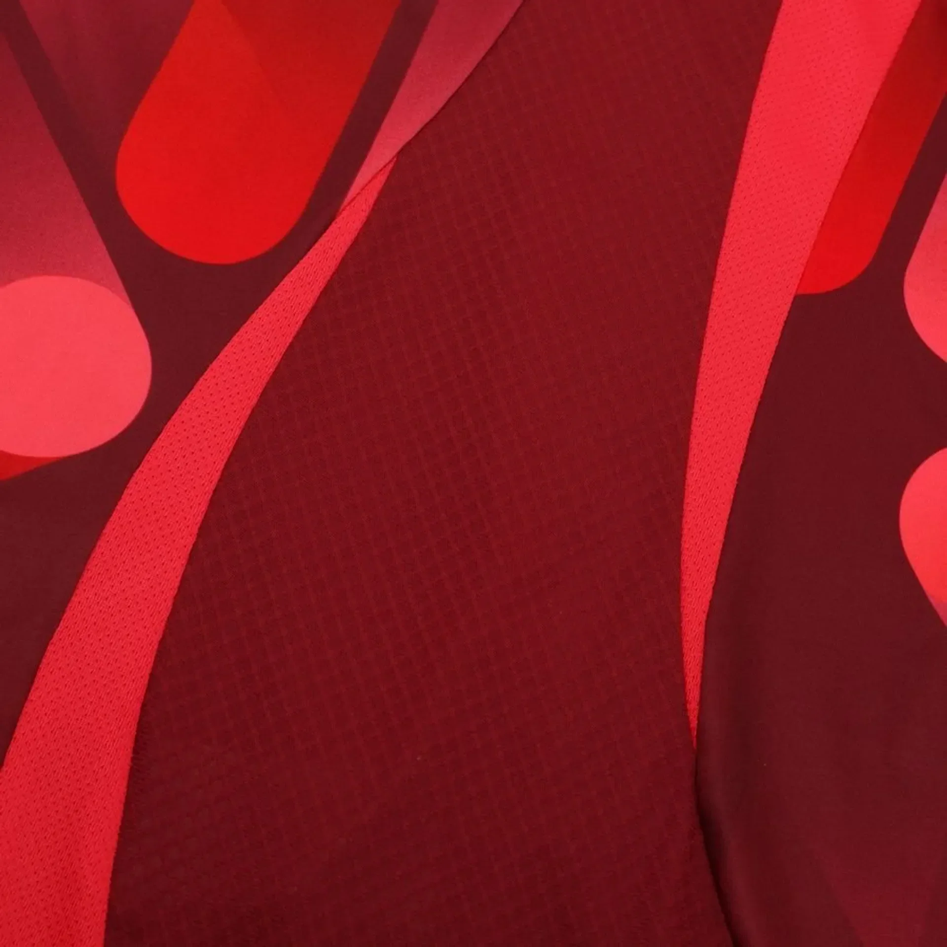 MAILLOT ALLEMAGNE EXTÉRIEUR EURO 2025 - Image 2