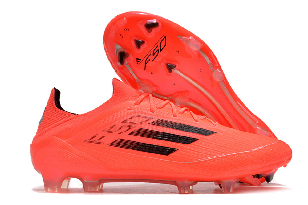F50 - Image 2