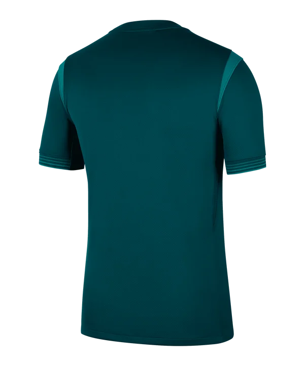 MAILLOT NIGERIA DOMICILE 2025/2026 - Image 2