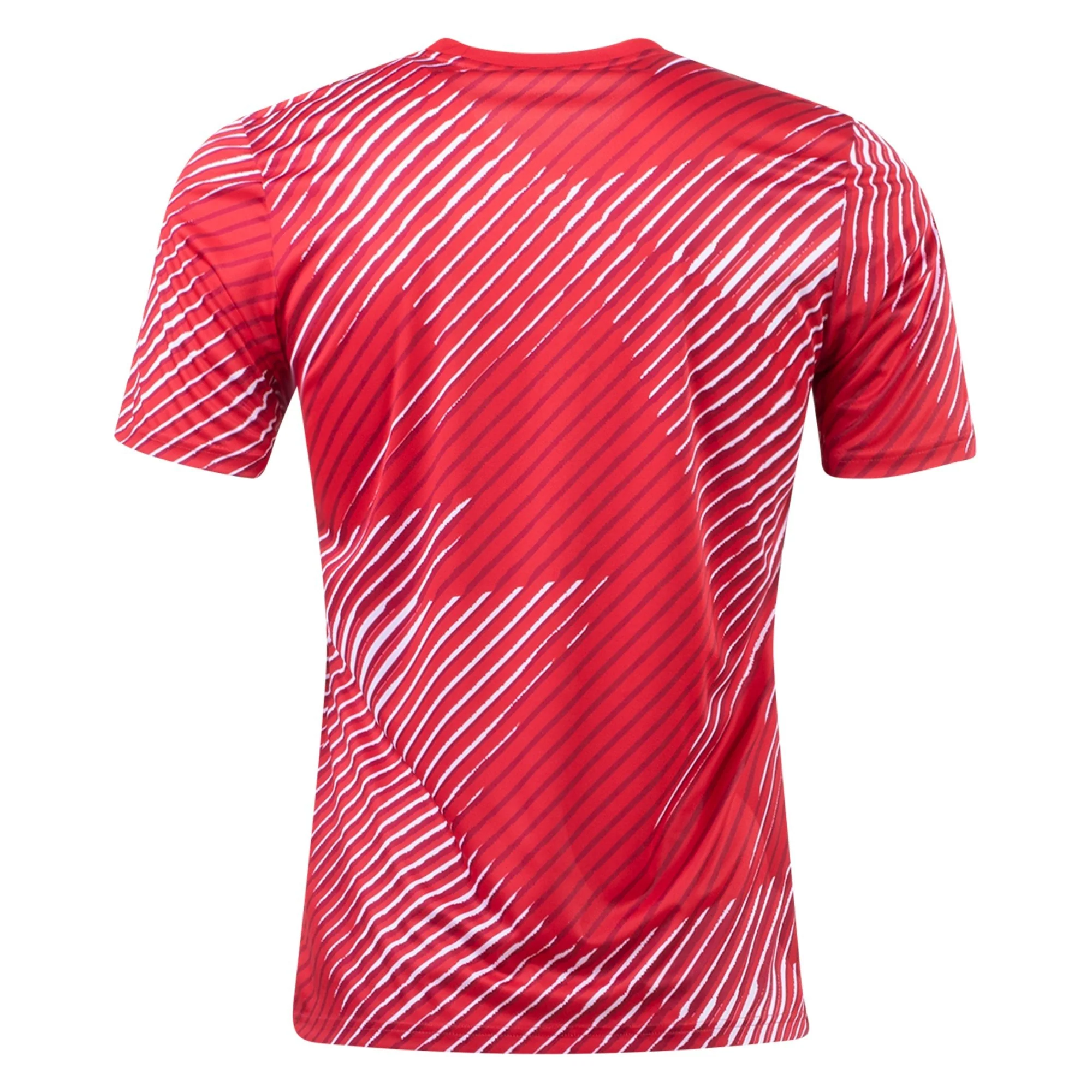 MAILLOT PREMATCH JAPON 2022/2023 - Image 2